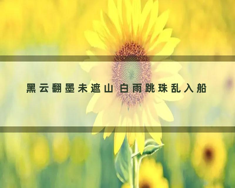 黑云翻墨未遮山 白雨跳珠乱入船