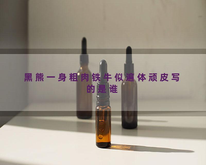 黑熊一身粗肉铁牛似遍体顽皮写的是谁