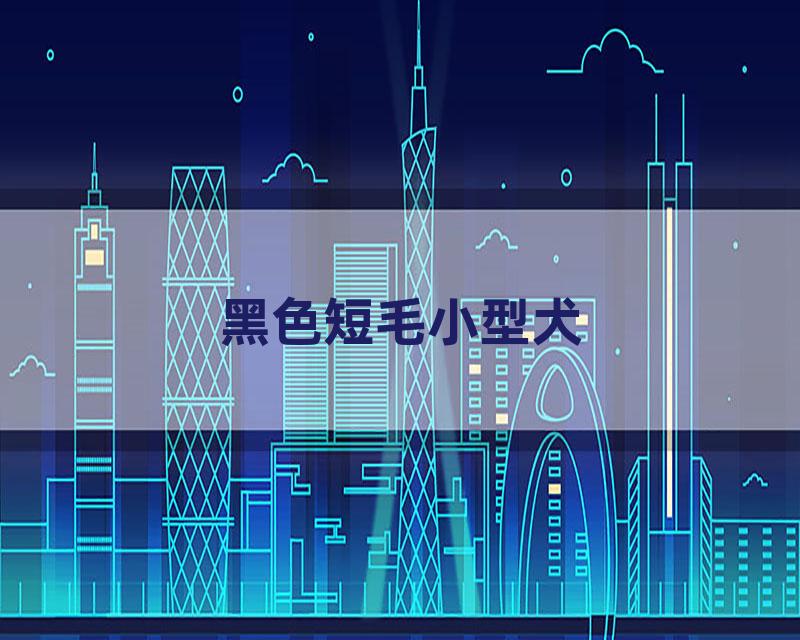 黑色短毛小型犬