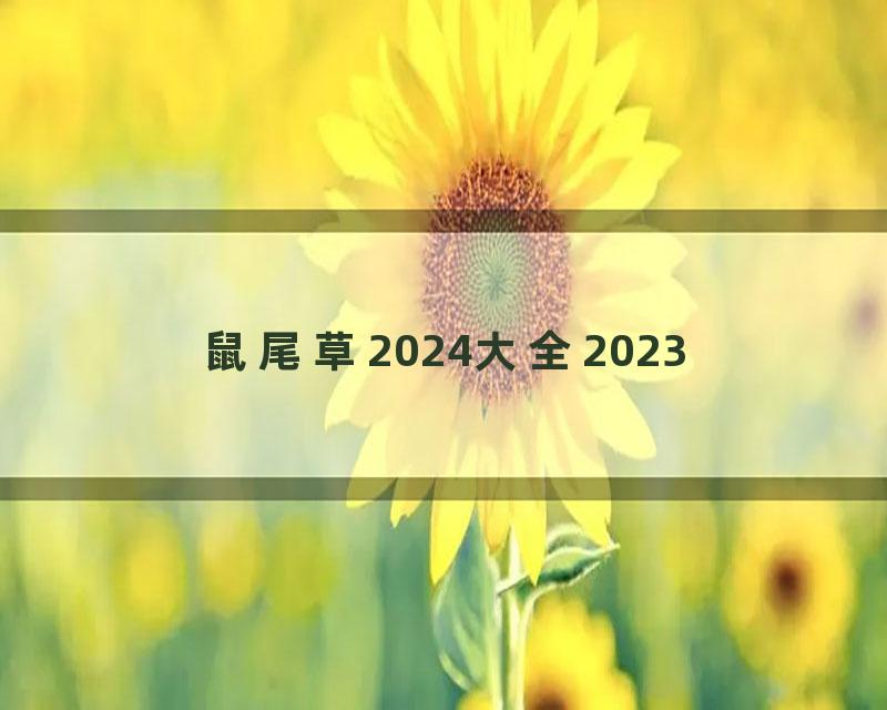 鼠尾草2024大全2023