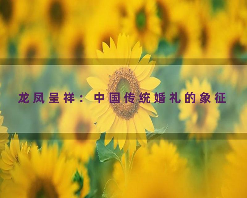 龙凤呈祥：中国传统婚礼的象征