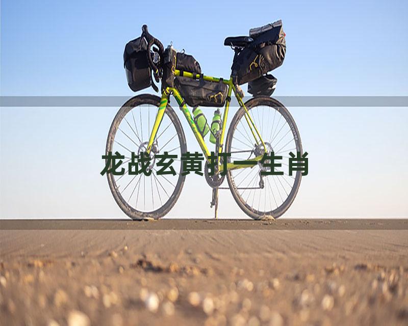 龙战玄黄打一生肖