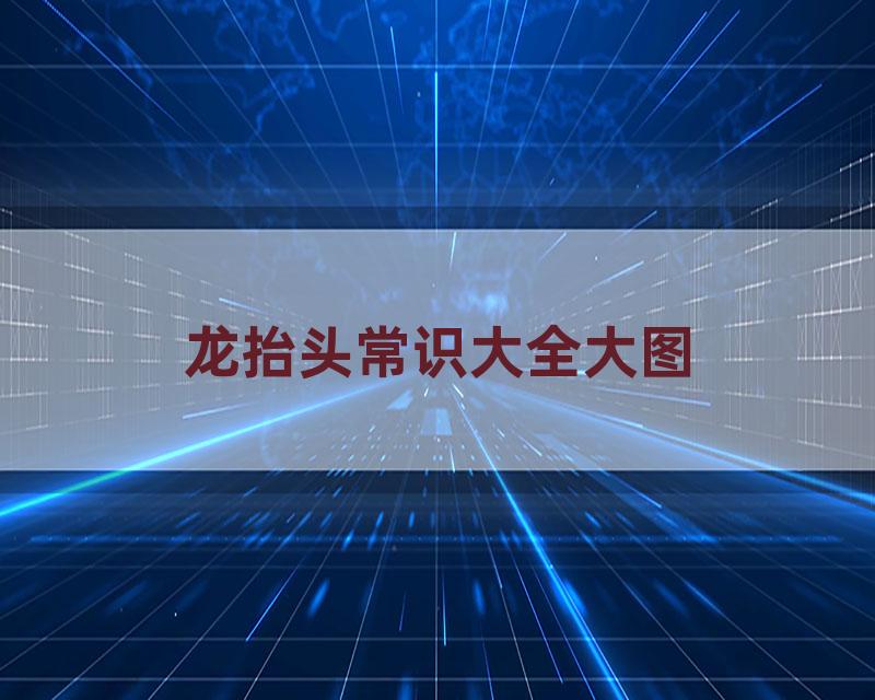 龙抬头常识大全大图