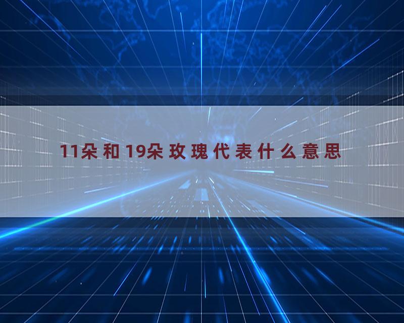 11朵和19朵玫瑰代表什么意思