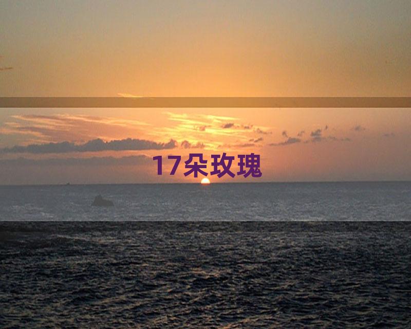 17朵玫瑰