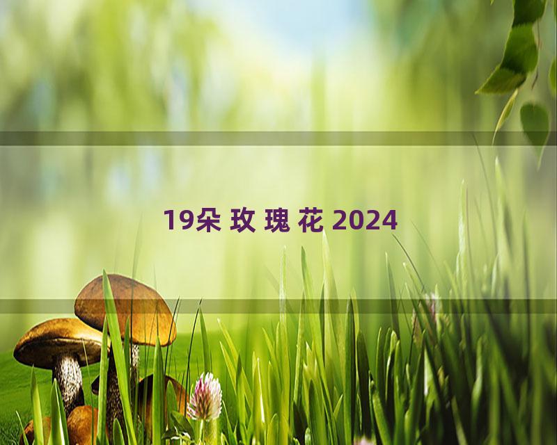 19朵玫瑰花2024