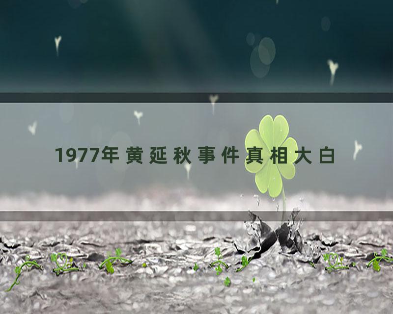 1977年黄延秋事件真相大白