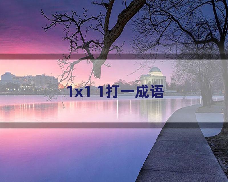 1x1 1打一成语