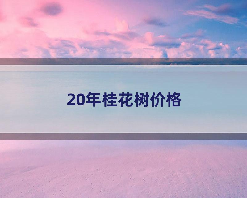 20年桂花树价格