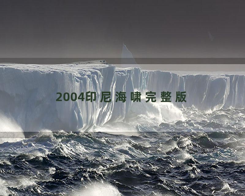 2004印尼海啸完整版