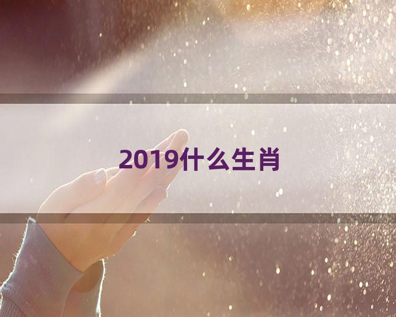 2019什么生肖