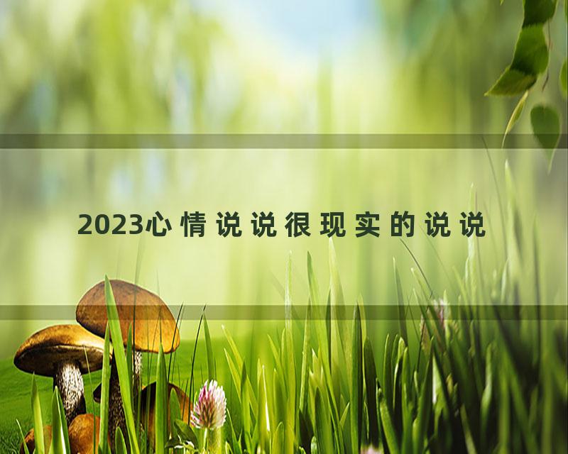 2023心情说说很现实的说说
