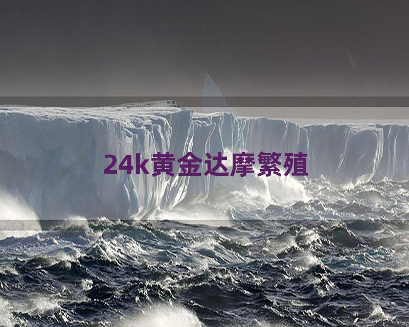 24k黄金达摩繁殖