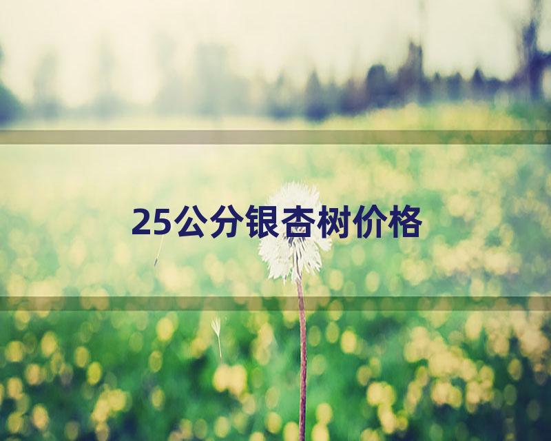 25公分银杏树价格