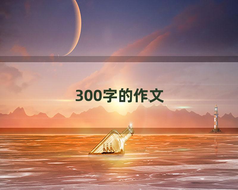 300字的作文