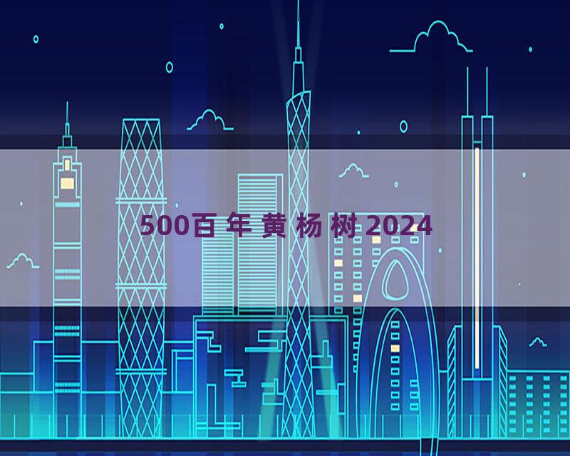 500百年黄杨树2024