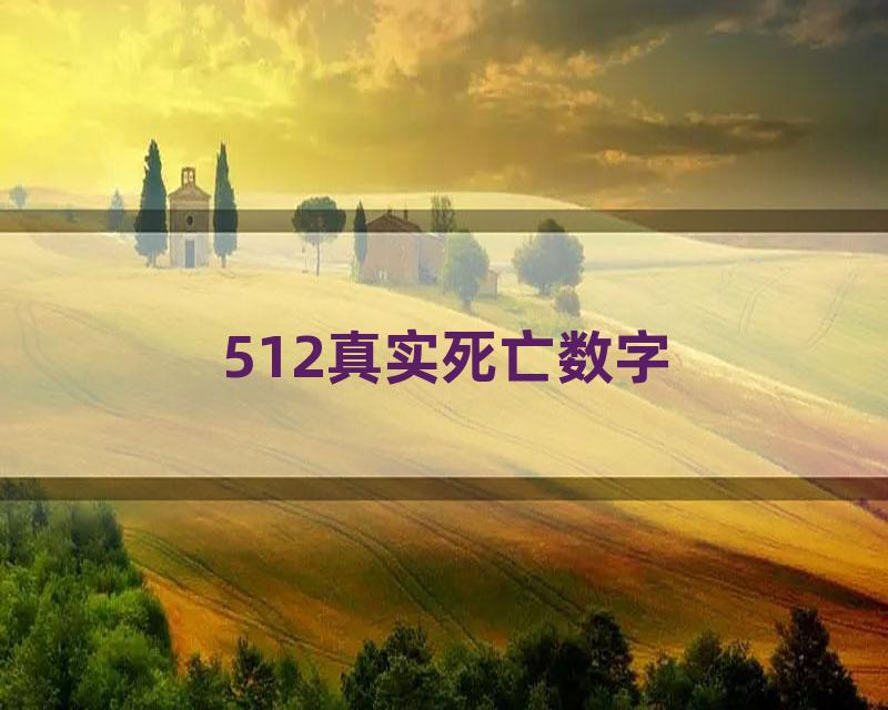 512真实死亡数字