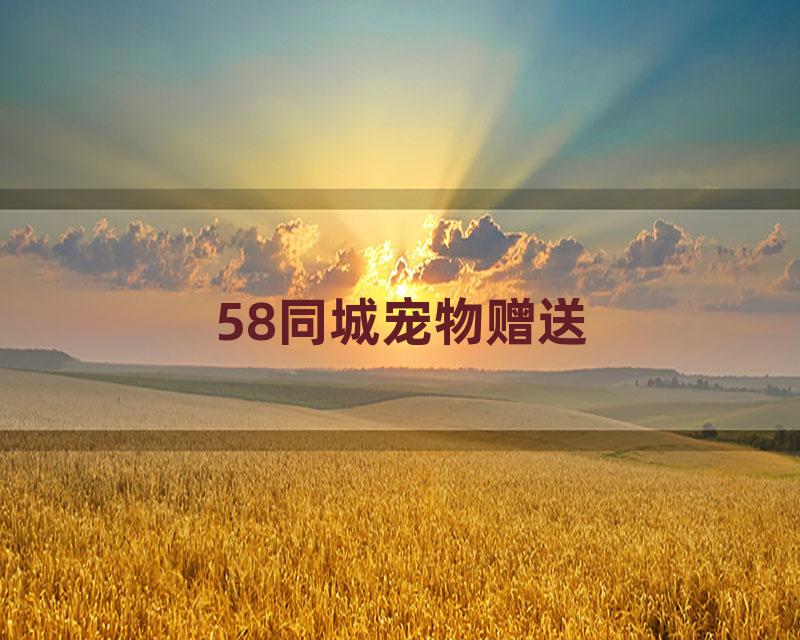 58同城宠物赠送