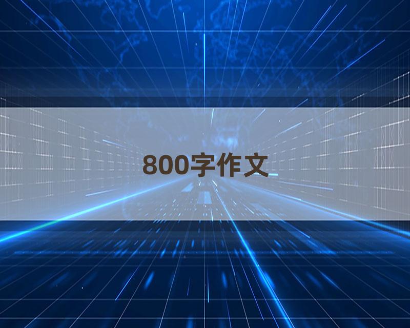800字作文