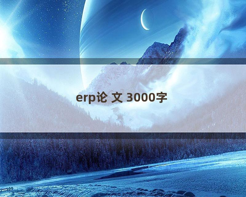 erp论文3000字