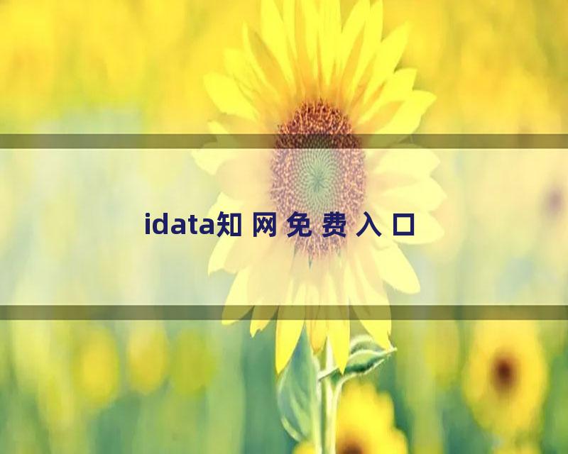 idata知网免费入口