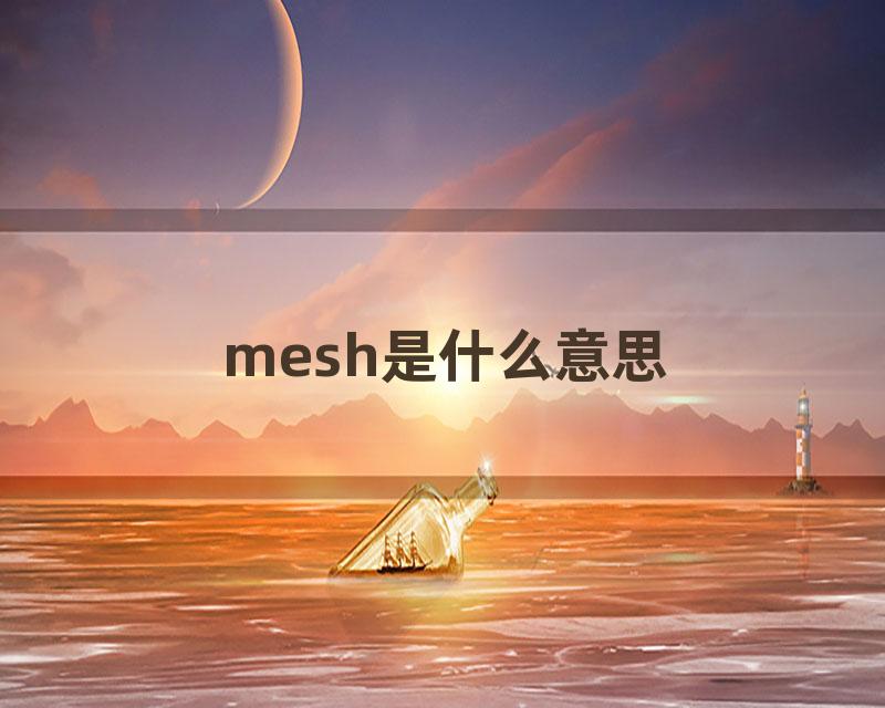 mesh是什么意思