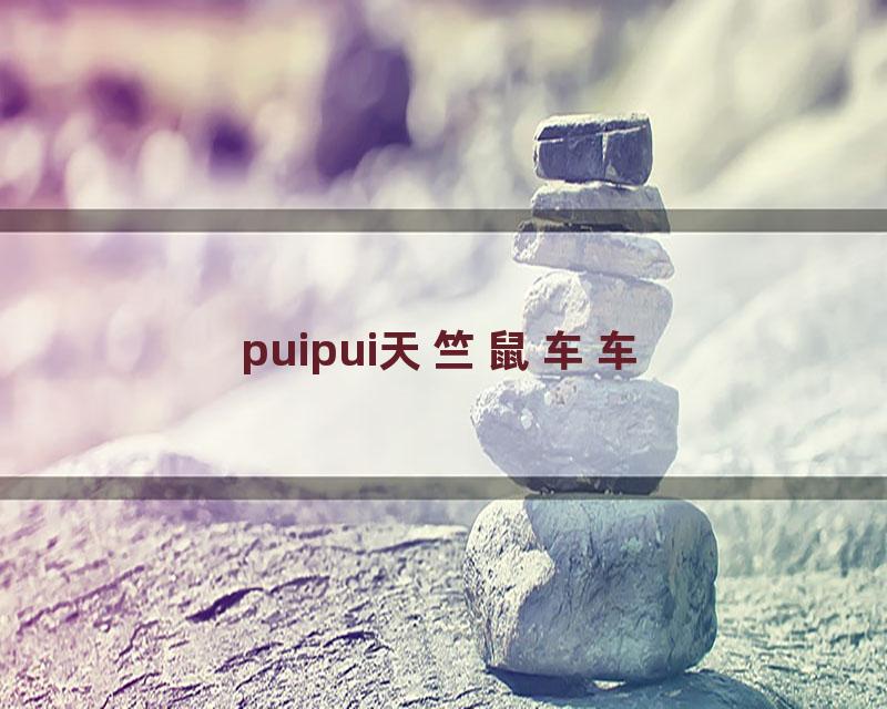 puipui天竺鼠车车