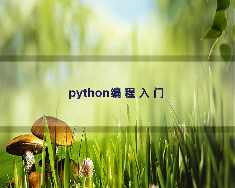 python编程入门