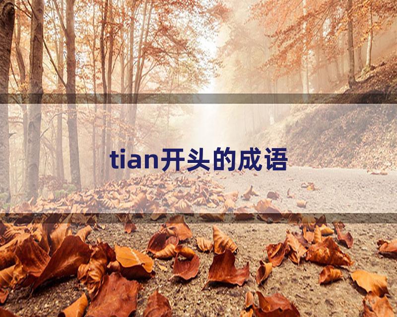 tian开头的成语
