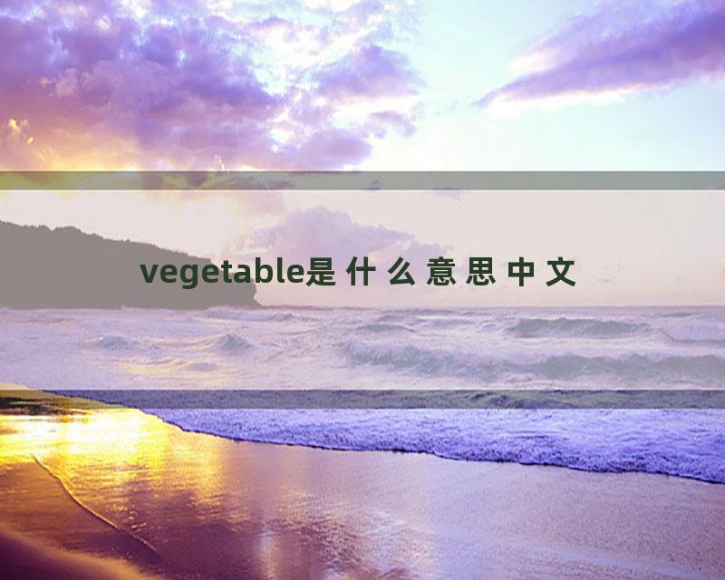 vegetable是什么意思中文