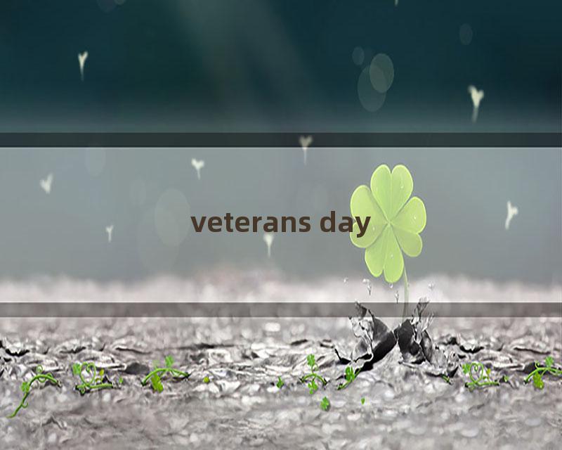 veterans day