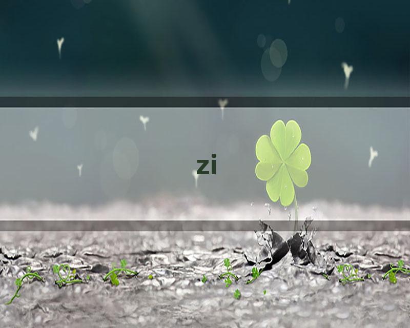 zi